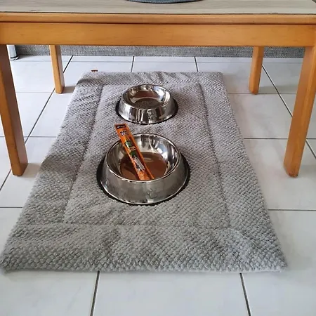 6 * シャルボイツ